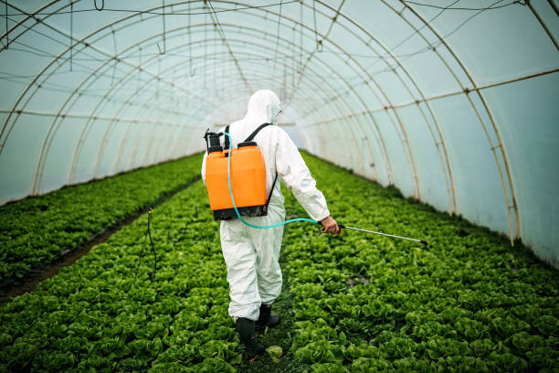 Best Mosquito Control Services  in Whitesburg, KY